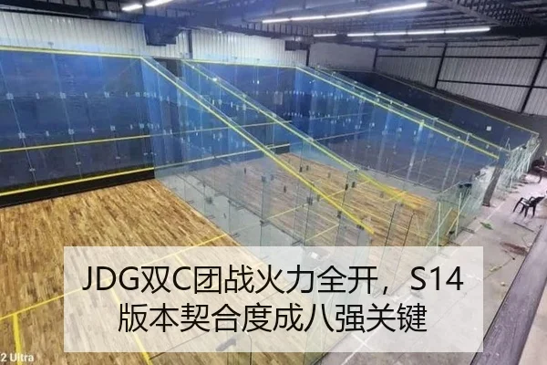 JDG双C团战火力全开，S14版本契合度成八强关键